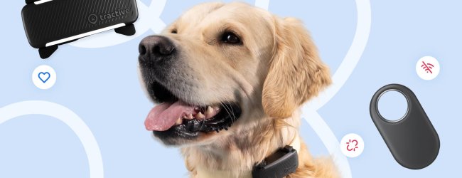 Infografica di Tractive: Samsung SmartTag vs Tractive GPS Smart Tracker per cani e gatti