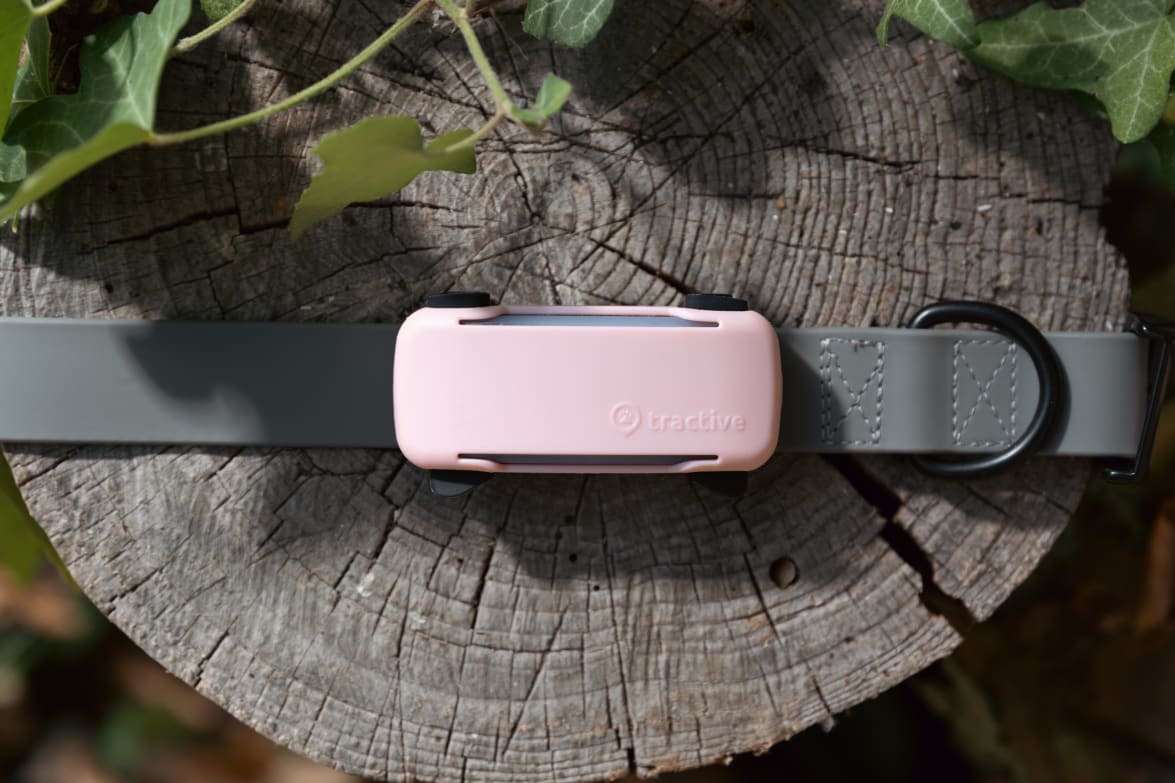 Tractive DOG 6 Tracker Cover Pink mounted on a collar