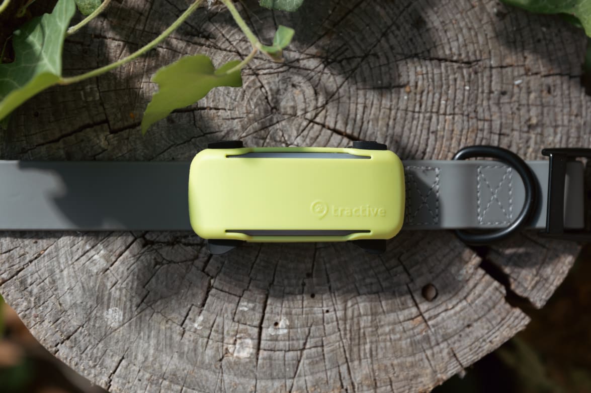 Tractive DOG 6 Tracker Cover Yellow mounted on the Tracker