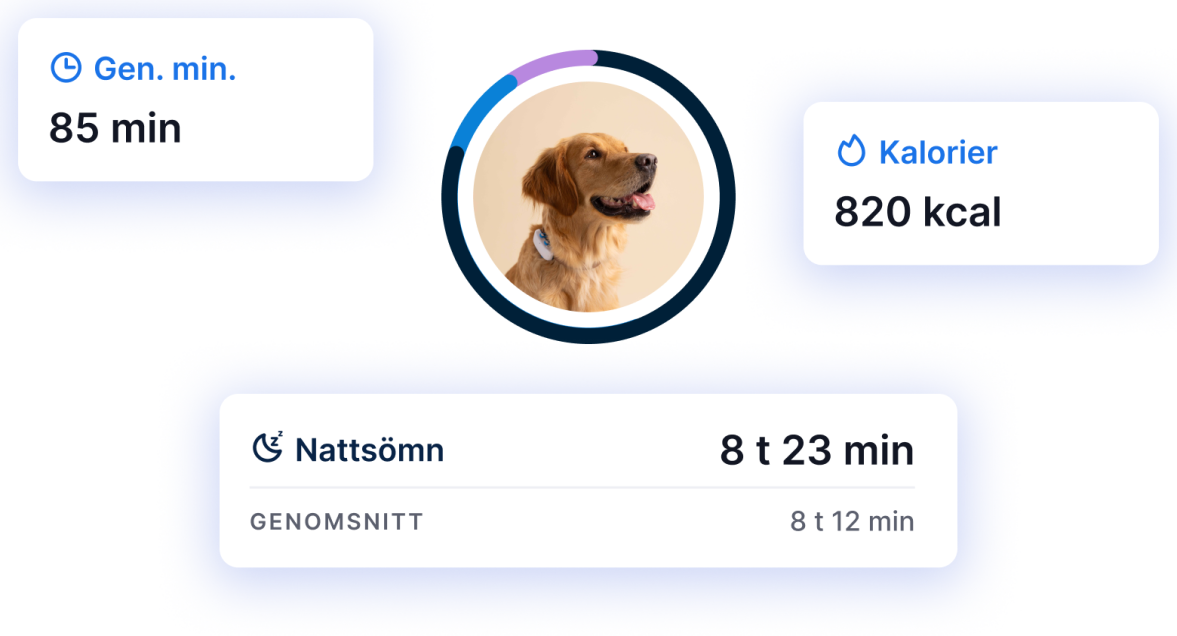 AKTIVITETS- OCH SÖMNSPÅRNING