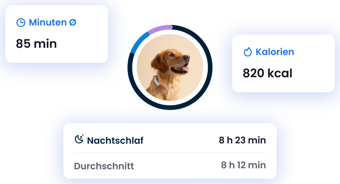 AKTIVITÄTS- & SCHLAFTRACKING