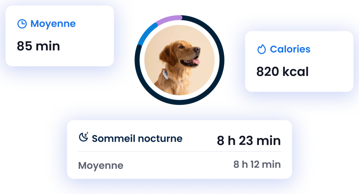 MONITEUR D'ACTIVITÉ ET DE SOMMEIL