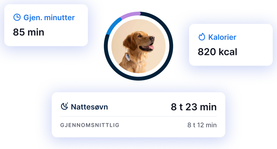 AKTIVITETS- OG SØVNOVERVÅKING