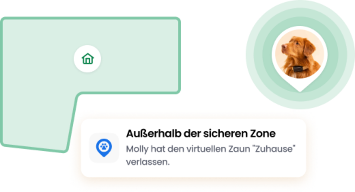 Funktion "Virtueller Zaun"