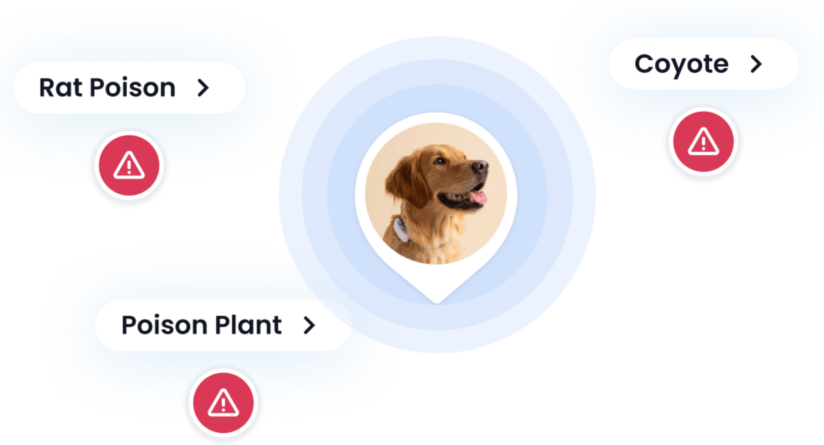 Detecta riesgos cercanos