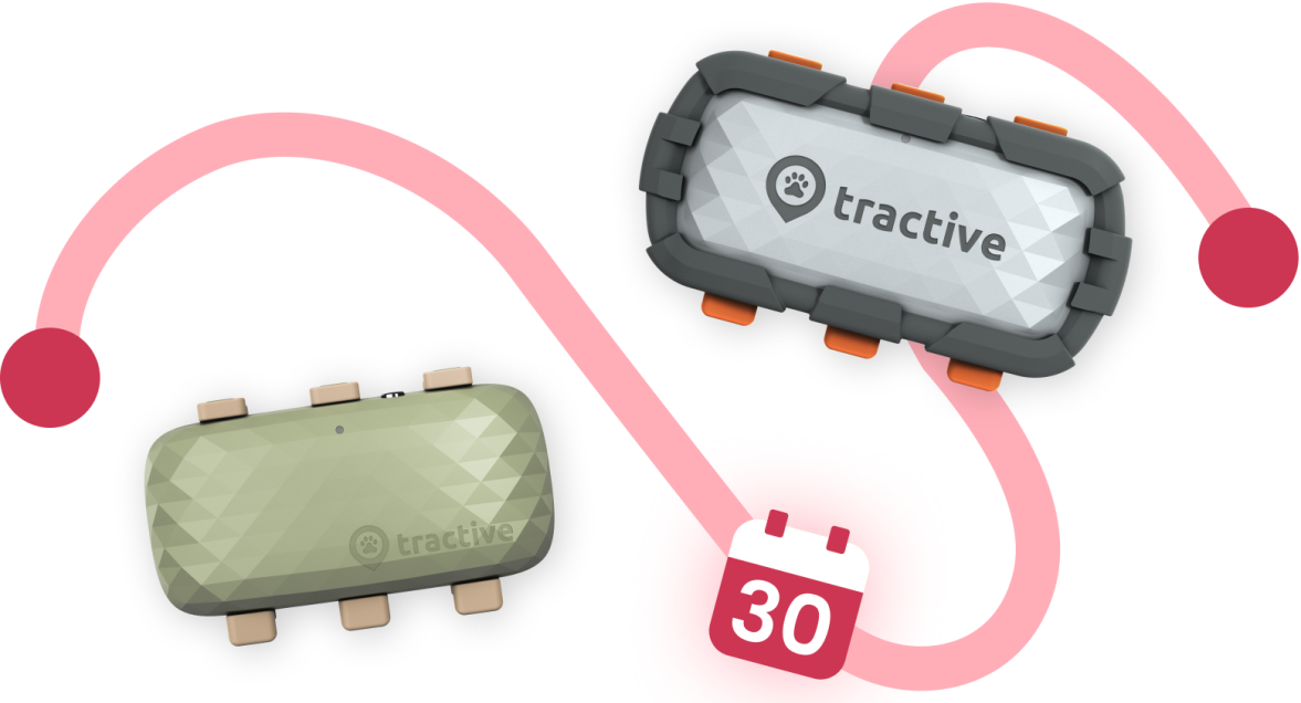 Localizadores DOG XL